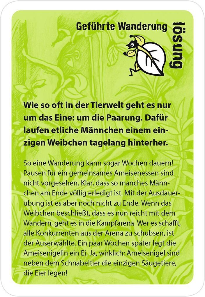 Weitere Ansicht: black stories junior Tierisch wild! | Andrea Köhrsen