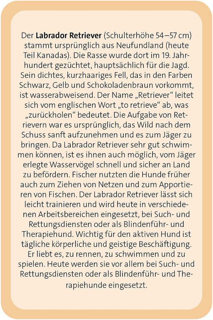 Weitere Ansicht: Das große Hunde Quiz | Anita Saan