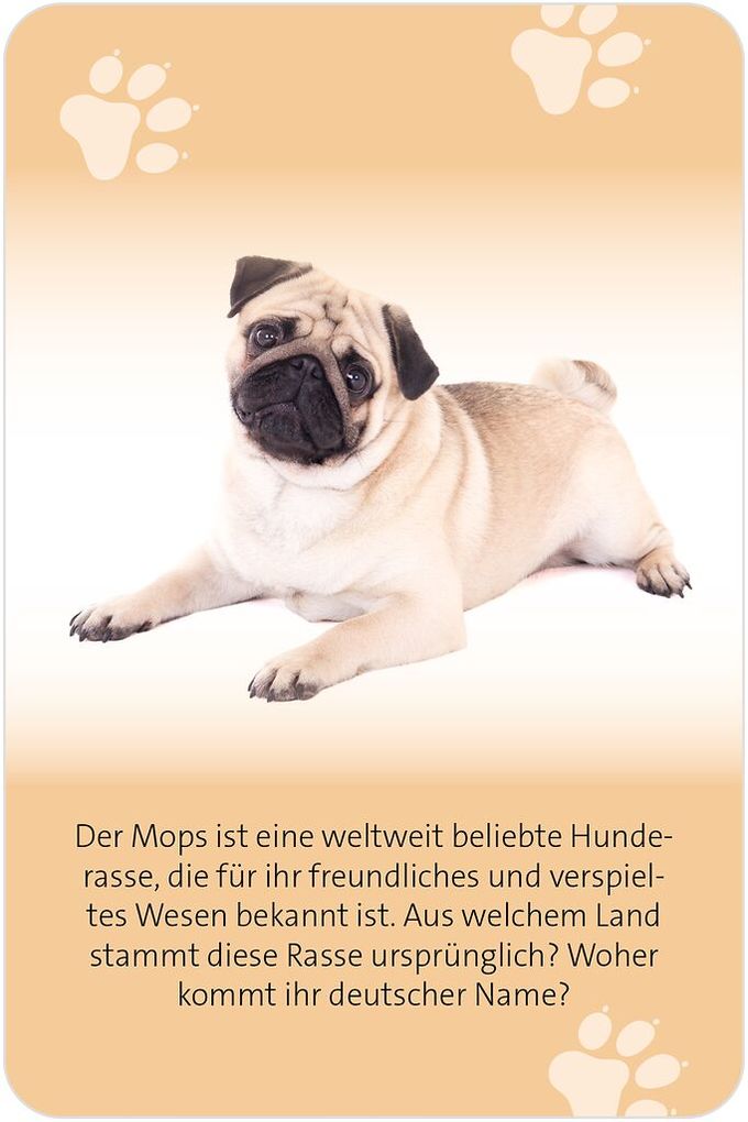 Weitere Ansicht: Das große Hunde Quiz | Anita Saan
