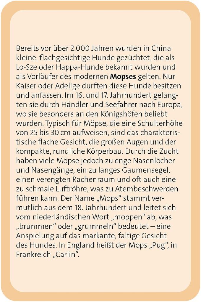 Weitere Ansicht: Das große Hunde Quiz | Anita Saan