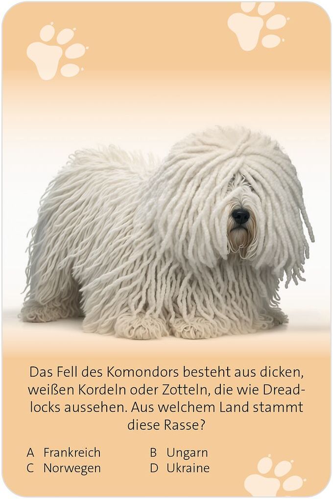 Weitere Ansicht: Das große Hunde Quiz | Anita Saan