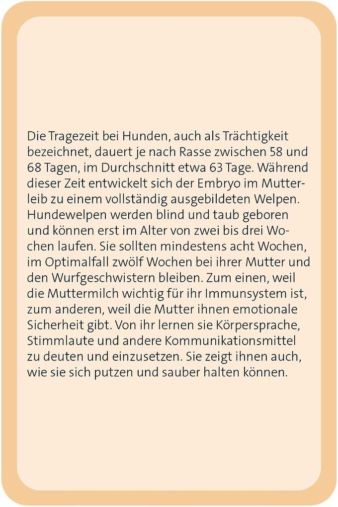 Weitere Ansicht: Das große Hunde Quiz | Anita Saan