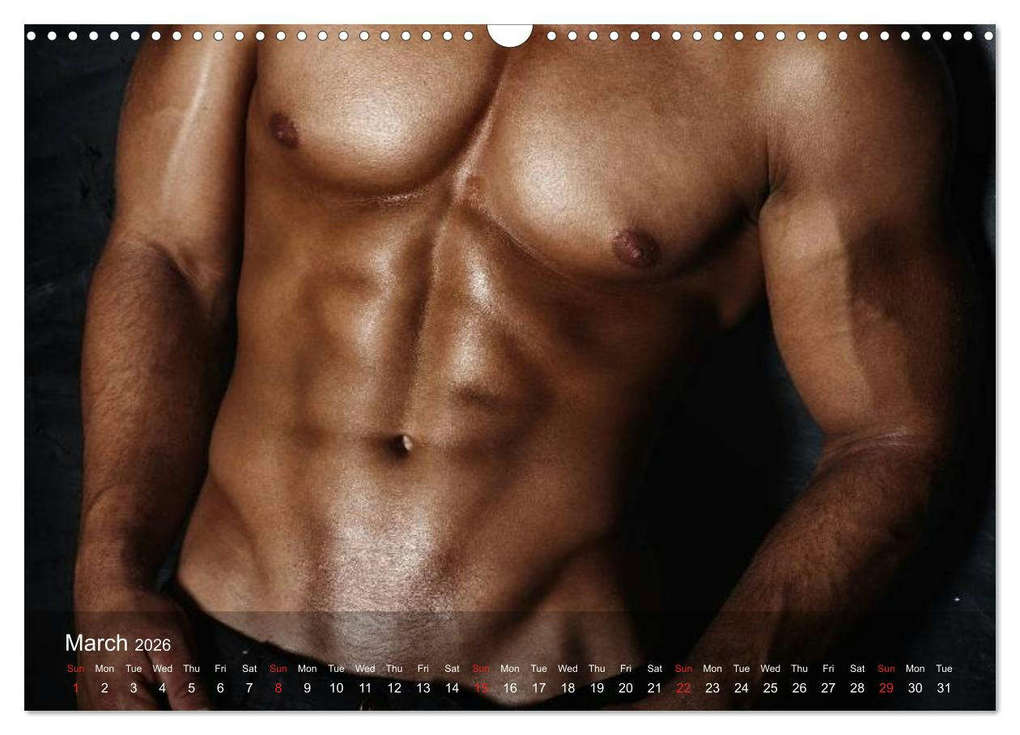 Weitere Ansicht: Erotica Gladiators & Angels (Wall Calendar 2026 DIN A3 landscape), CALVENDO 12 Month Wall Calendar | Calvendo, Elisabeth Stanzer
