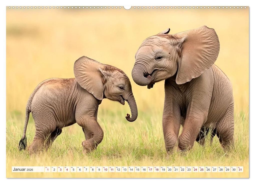 Weitere Ansicht: TIERKINDER Abenteuer Wildnis (Wandkalender 2026 DIN A2 quer), CALVENDO Monatskalender | Melanie Viola, Calvendo