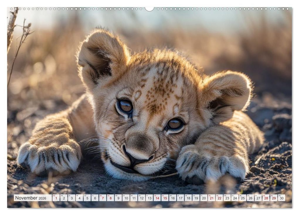 Weitere Ansicht: TIERKINDER Abenteuer Wildnis (Wandkalender 2026 DIN A2 quer), CALVENDO Monatskalender | Melanie Viola, Calvendo