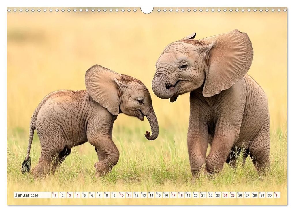 Weitere Ansicht: TIERKINDER Abenteuer Wildnis (Wandkalender 2026 DIN A3 quer), CALVENDO Monatskalender | Melanie Viola, Calvendo