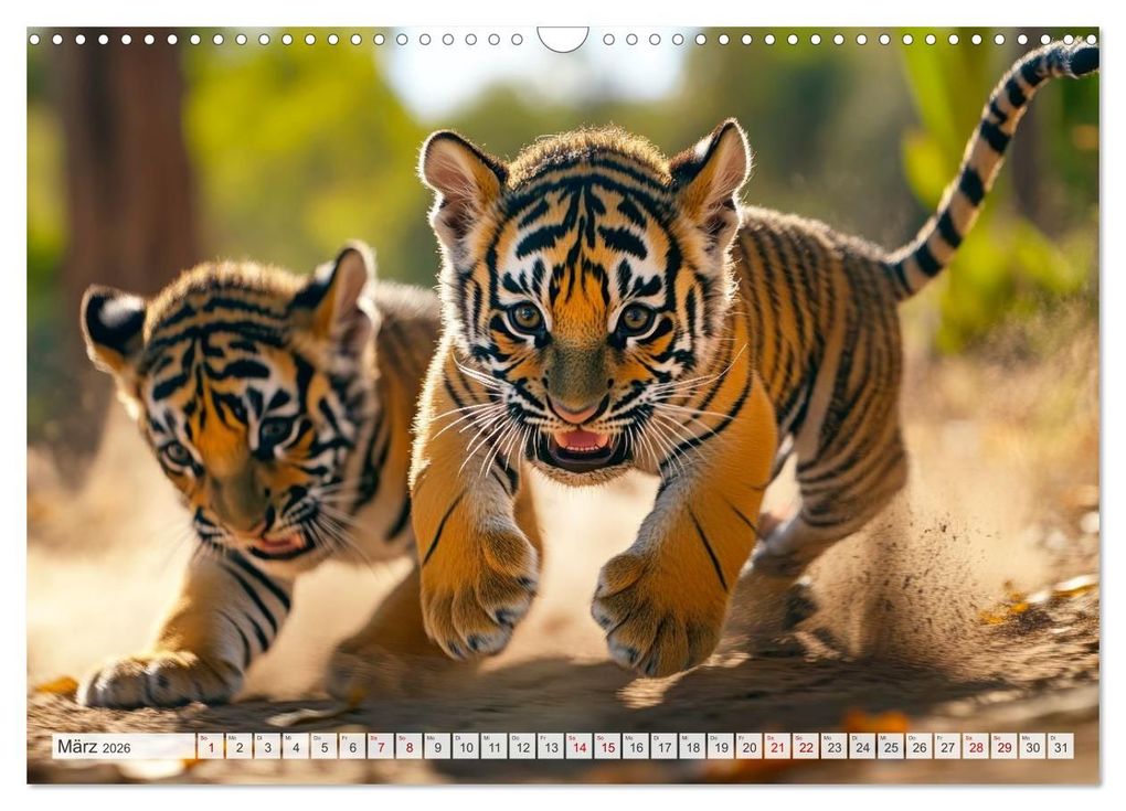 Weitere Ansicht: TIERKINDER Abenteuer Wildnis (Wandkalender 2026 DIN A3 quer), CALVENDO Monatskalender | Melanie Viola, Calvendo