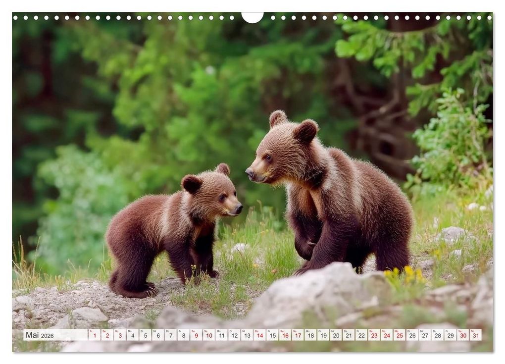 Weitere Ansicht: TIERKINDER Abenteuer Wildnis (Wandkalender 2026 DIN A3 quer), CALVENDO Monatskalender | Melanie Viola, Calvendo