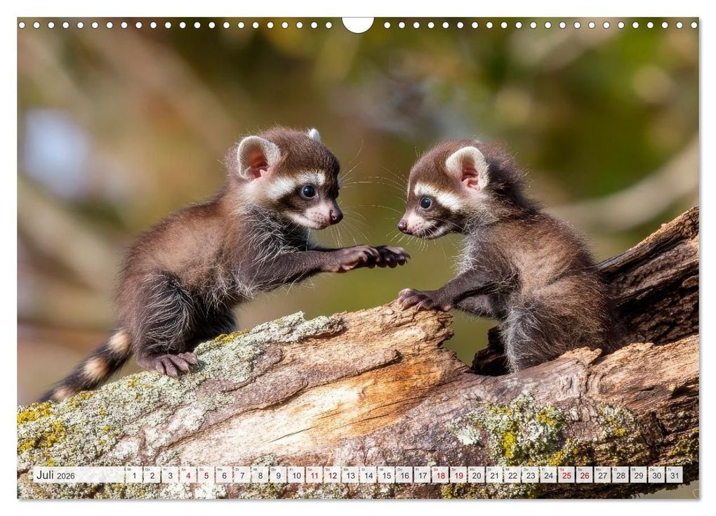Weitere Ansicht: TIERKINDER Abenteuer Wildnis (Wandkalender 2026 DIN A3 quer), CALVENDO Monatskalender | Melanie Viola, Calvendo