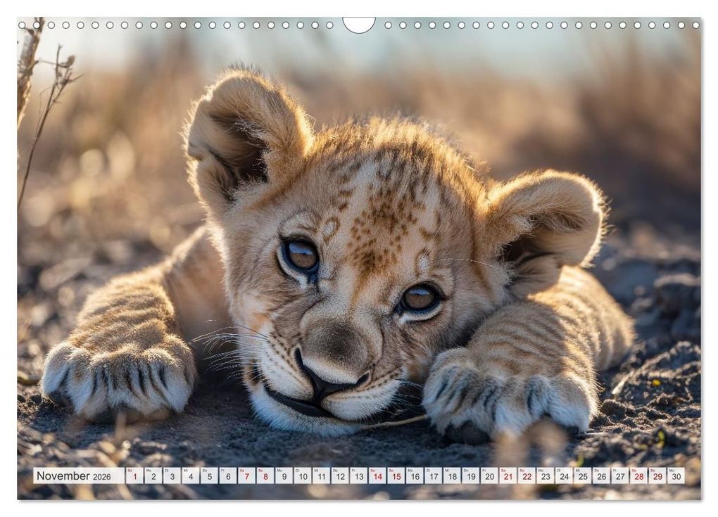 Weitere Ansicht: TIERKINDER Abenteuer Wildnis (Wandkalender 2026 DIN A3 quer), CALVENDO Monatskalender | Melanie Viola, Calvendo