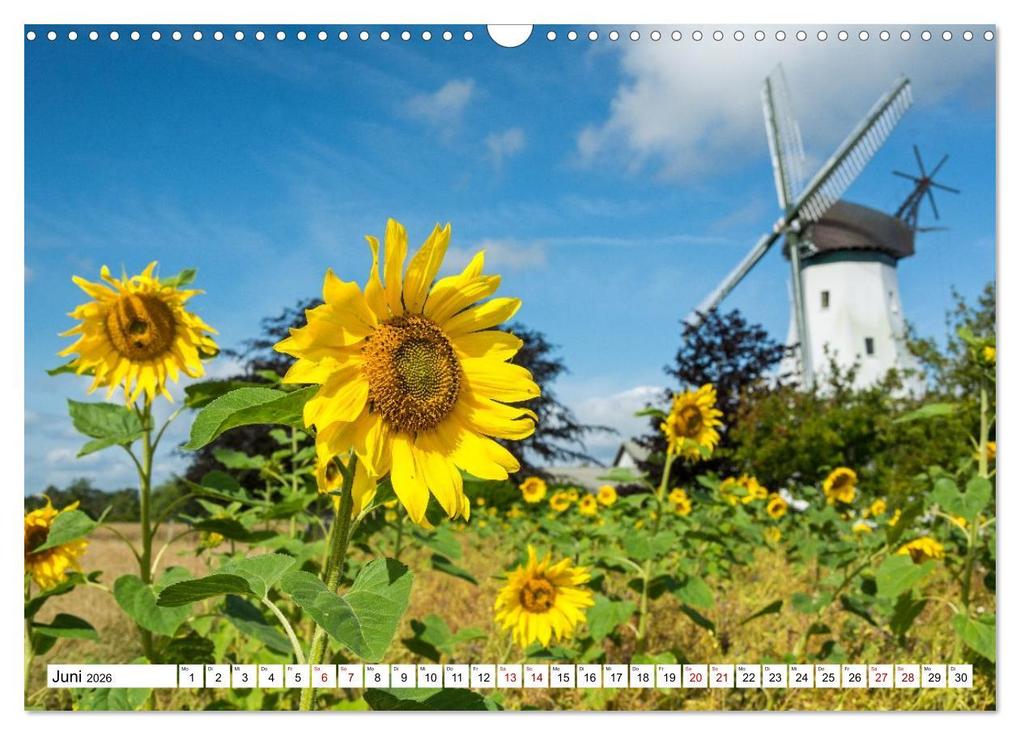 Weitere Ansicht: Flensburger Förde: Eine Reise durch Deutschlands hohen Norden (Wandkalender 2026 DIN A3 quer), CALVENDO Monatskalender | fotosvonlucke fotosvonlucke, Calvendo, fotosvonlucke