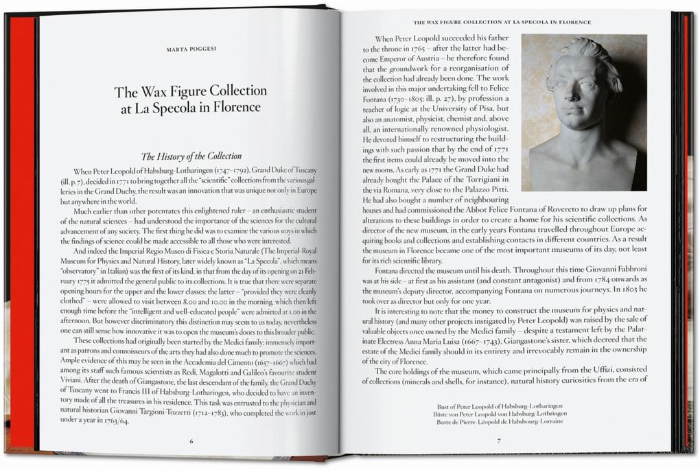 Weitere Ansicht: Anatomical Waxes | Marta Poggesi