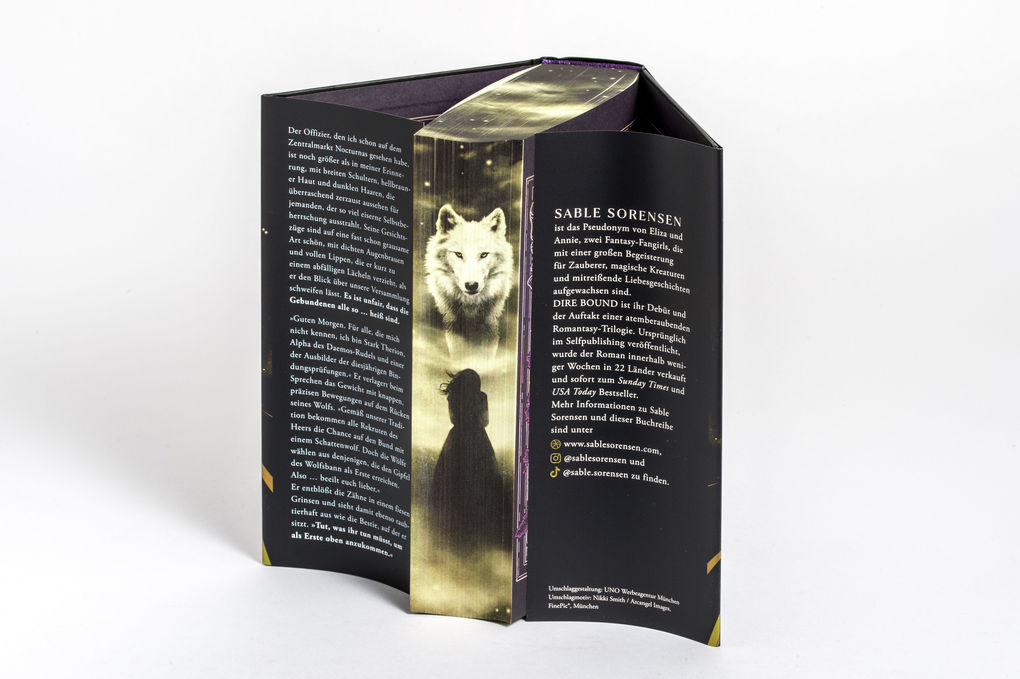 Weitere Ansicht: Dire Bound | Sable Sorensen