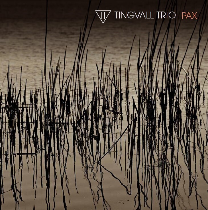 Produktbild: PAX (Digipak) | Tingvall Trio