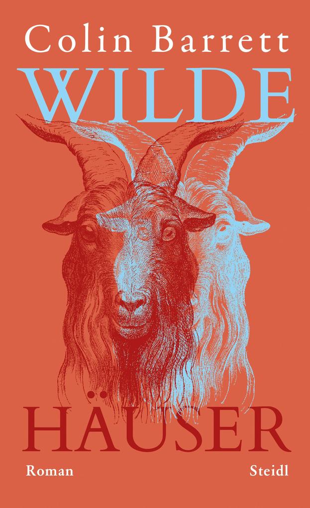 Produktbild: Wilde Häuser | Colin Barrett