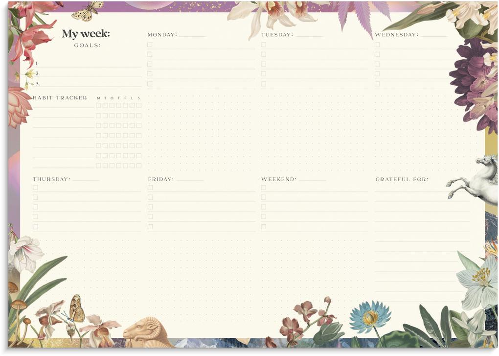 Produktbild: Burde - Weekly planner Fantasy