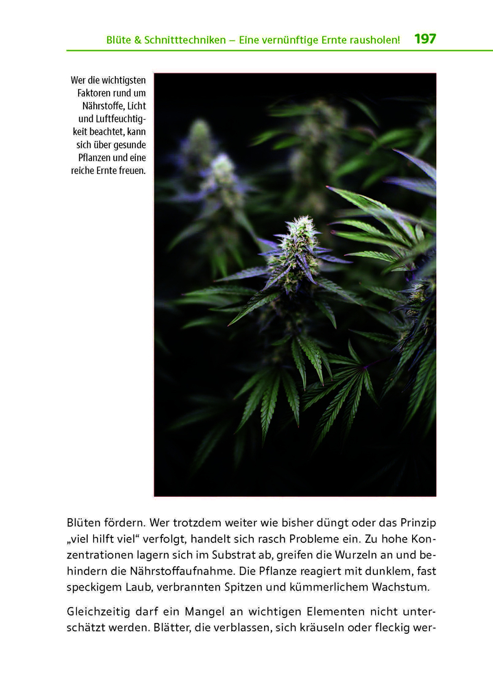 Weitere Ansicht: Cannabis zu Hause anbauen für Anfänger | Stefan Fischer