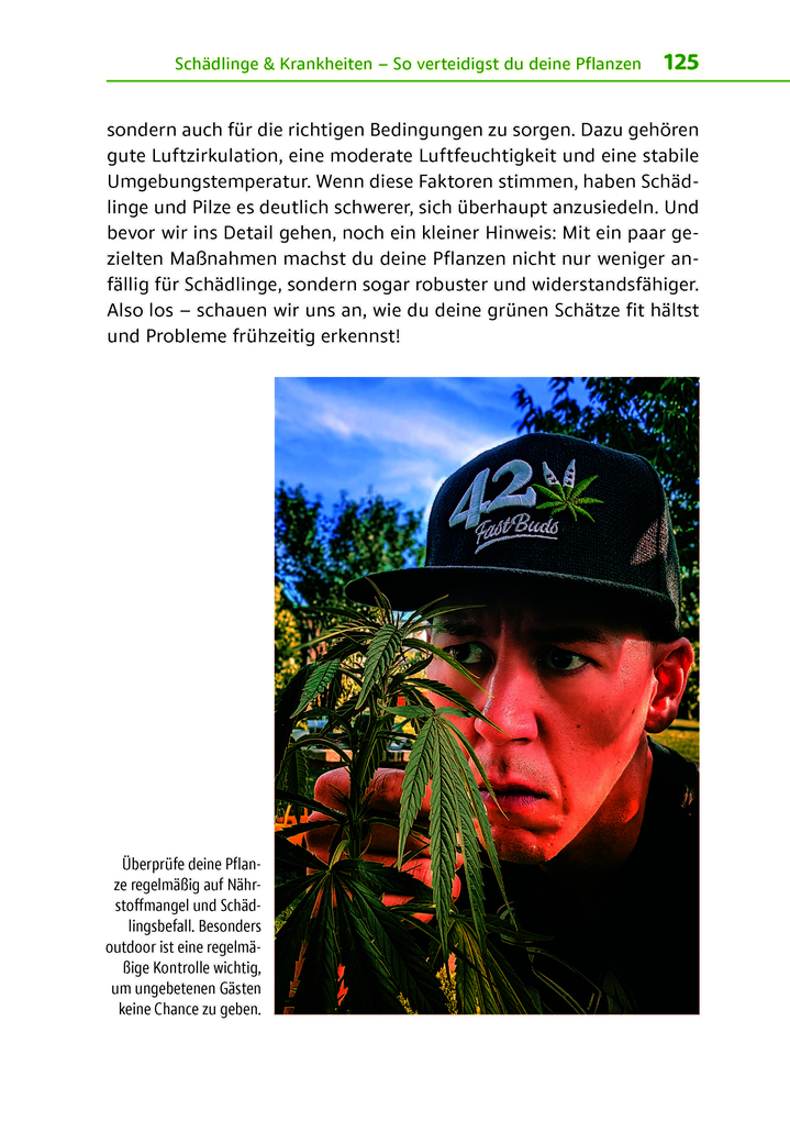 Weitere Ansicht: Cannabis zu Hause anbauen für Anfänger | Stefan Fischer