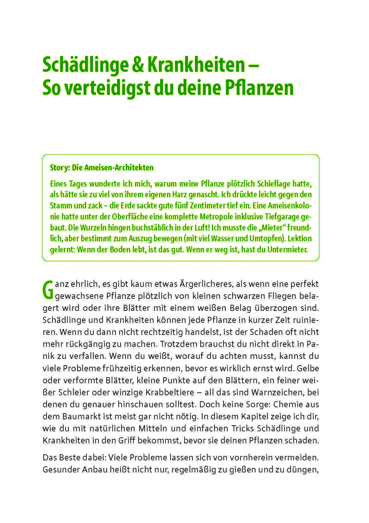 Weitere Ansicht: Cannabis zu Hause anbauen für Anfänger | Stefan Fischer