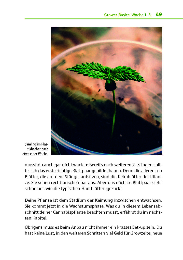 Weitere Ansicht: Cannabis zu Hause anbauen für Anfänger | Stefan Fischer