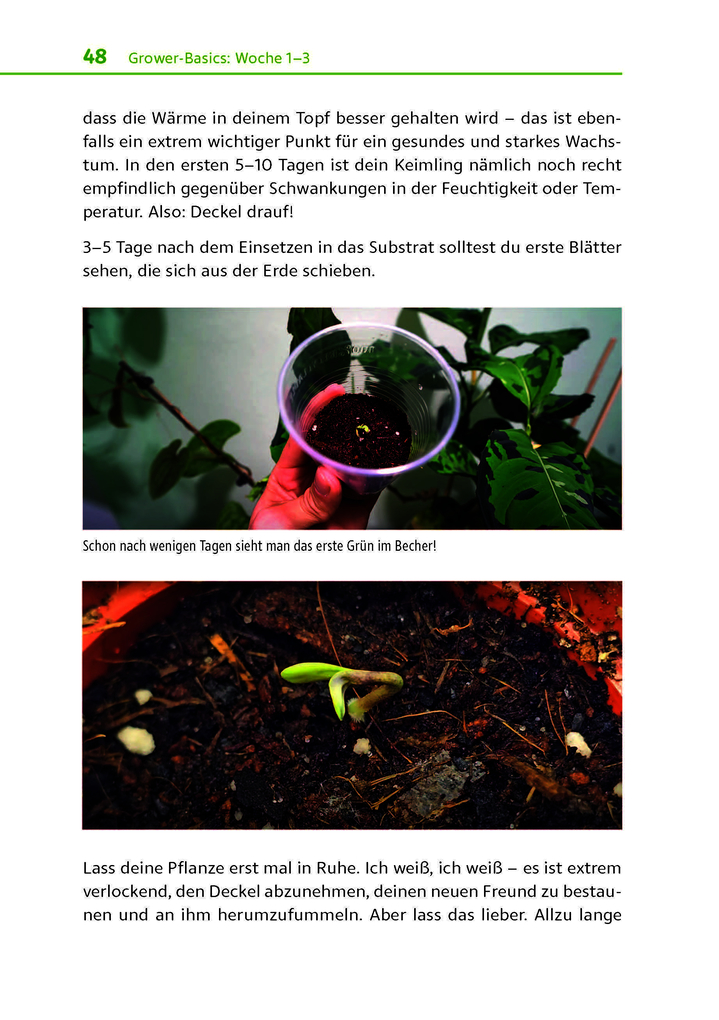 Weitere Ansicht: Cannabis zu Hause anbauen für Anfänger | Stefan Fischer