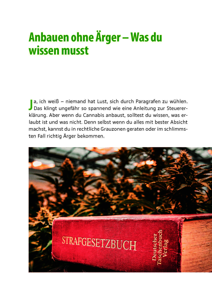 Weitere Ansicht: Cannabis zu Hause anbauen für Anfänger | Stefan Fischer