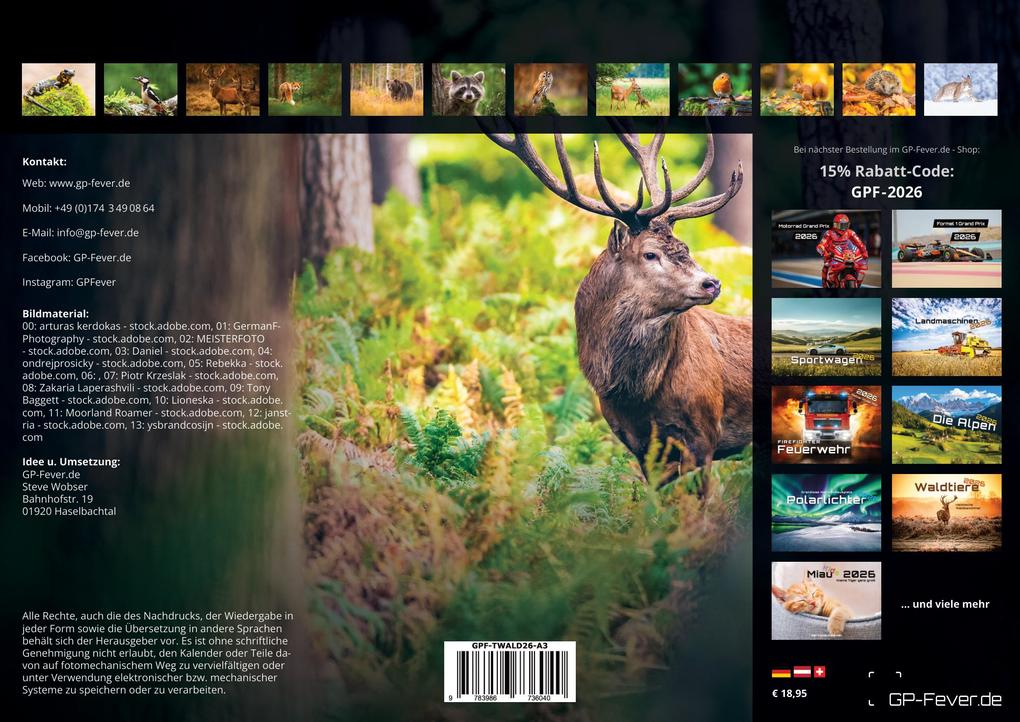 Weitere Ansicht: Waldtiere - Heimische Waldbewohner - Der Tierkalender - 2026 - Kalender DIN A3