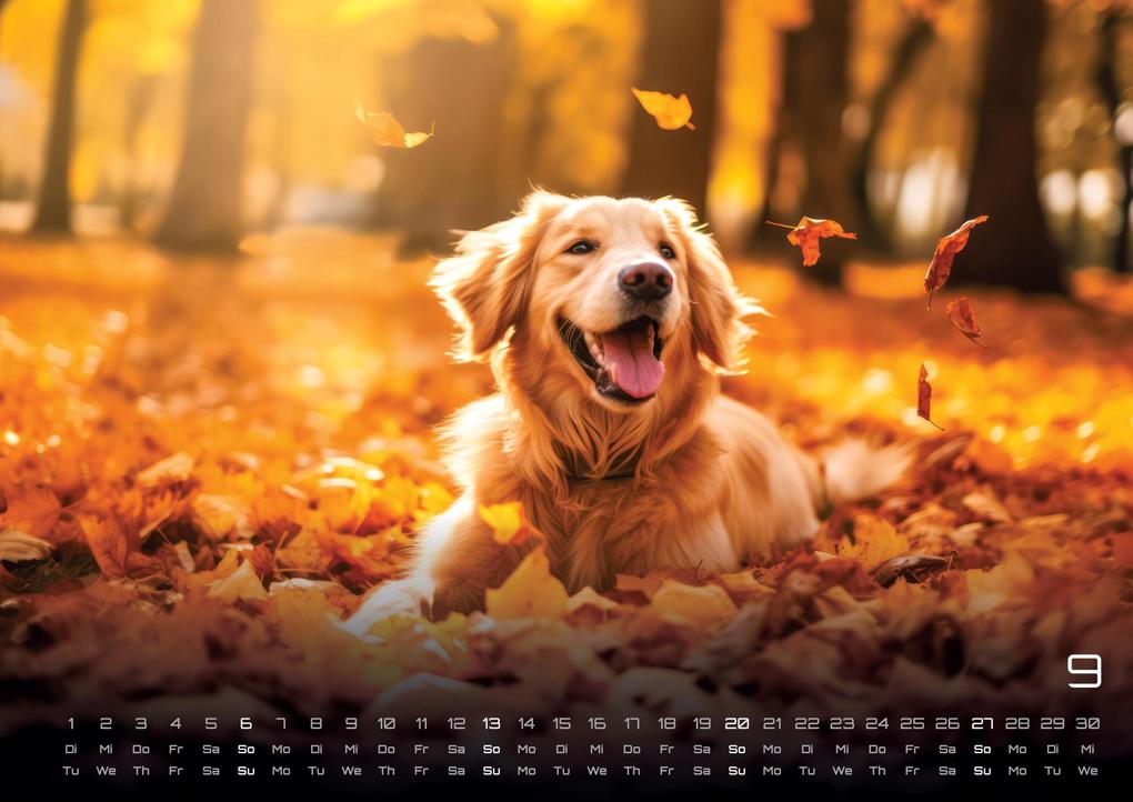 Weitere Ansicht: Wuff - Unsere Vierbeiner - Der Hundekalender - 2026 - Kalender DIN A3