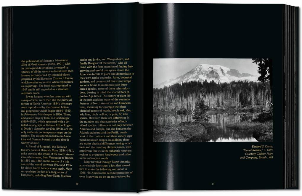 Weitere Ansicht: Romeyn B. Hough. The Woodbook. The Complete Plates | Klaus Ulrich Leistikow