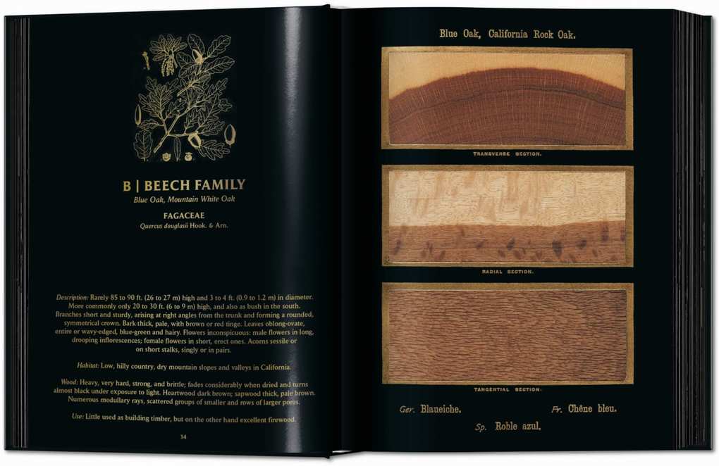 Weitere Ansicht: Romeyn B. Hough. The Woodbook. The Complete Plates | Klaus Ulrich Leistikow