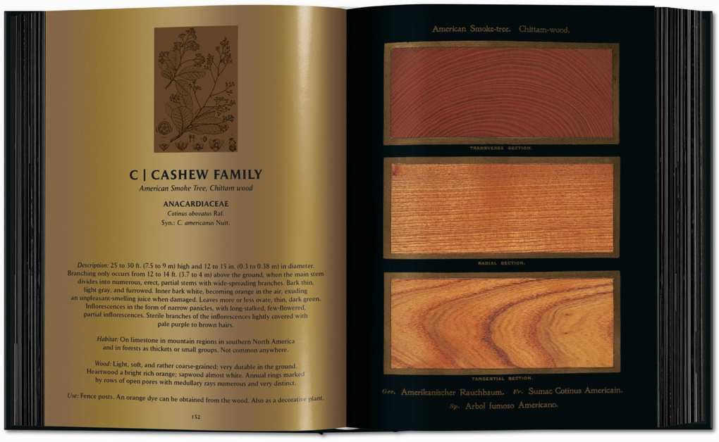 Weitere Ansicht: Romeyn B. Hough. The Woodbook. The Complete Plates | Klaus Ulrich Leistikow