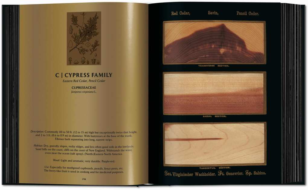 Weitere Ansicht: Romeyn B. Hough. The Woodbook. The Complete Plates | Klaus Ulrich Leistikow