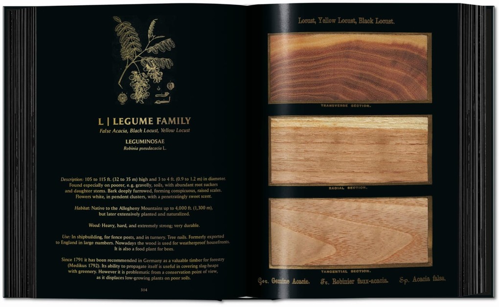 Weitere Ansicht: Romeyn B. Hough. The Woodbook. The Complete Plates | Klaus Ulrich Leistikow
