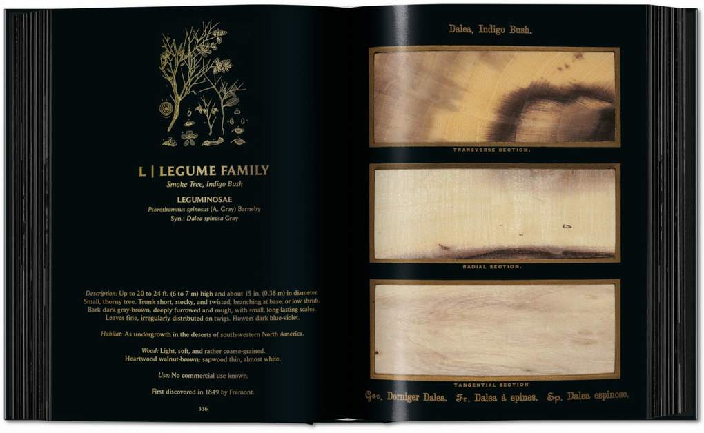 Weitere Ansicht: Romeyn B. Hough. The Woodbook. The Complete Plates | Klaus Ulrich Leistikow