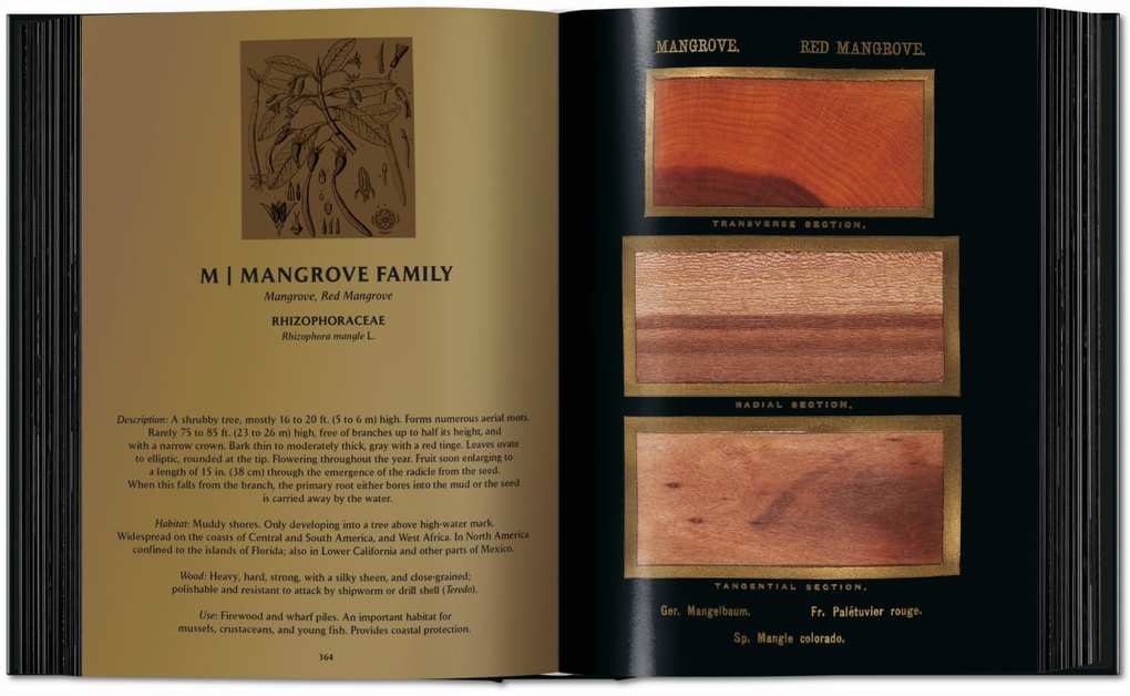 Weitere Ansicht: Romeyn B. Hough. The Woodbook. The Complete Plates | Klaus Ulrich Leistikow