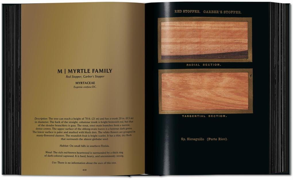 Weitere Ansicht: Romeyn B. Hough. The Woodbook. The Complete Plates | Klaus Ulrich Leistikow