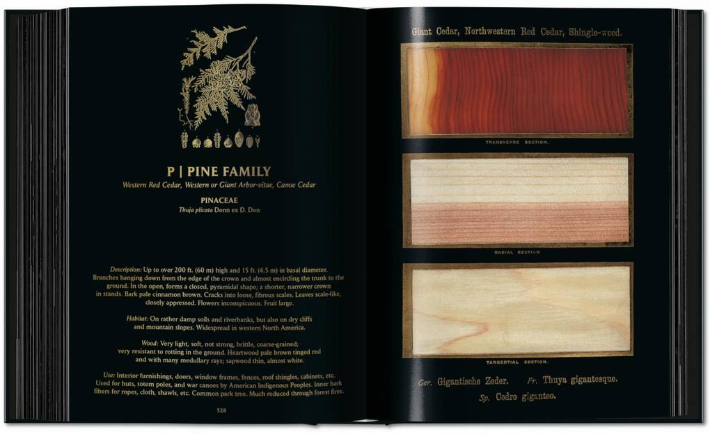 Weitere Ansicht: Romeyn B. Hough. The Woodbook. The Complete Plates | Klaus Ulrich Leistikow