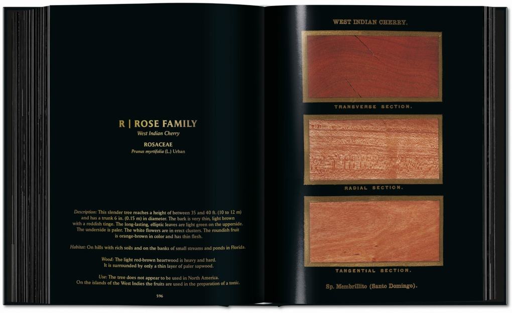 Weitere Ansicht: Romeyn B. Hough. The Woodbook. The Complete Plates | Klaus Ulrich Leistikow