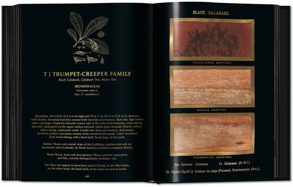 Weitere Ansicht: Romeyn B. Hough. The Woodbook. The Complete Plates | Klaus Ulrich Leistikow