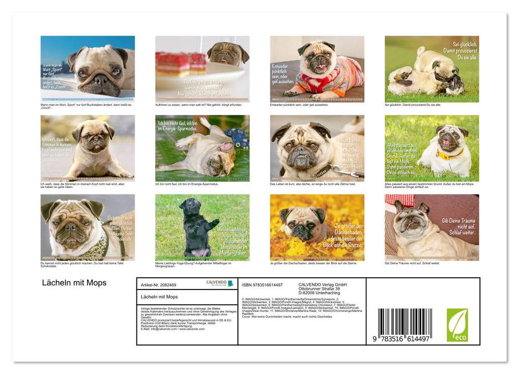 Weitere Ansicht: Lächeln mit Mops (Wandkalender 2026 DIN A4 quer), CALVENDO Monatskalender | CALVENDO CALVENDO, Calvendo