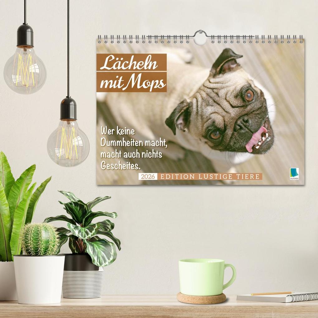 Weitere Ansicht: Lächeln mit Mops (Wandkalender 2026 DIN A4 quer), CALVENDO Monatskalender | CALVENDO CALVENDO, Calvendo