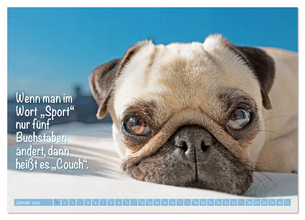 Weitere Ansicht: Lächeln mit Mops (Wandkalender 2026 DIN A4 quer), CALVENDO Monatskalender | CALVENDO CALVENDO, Calvendo