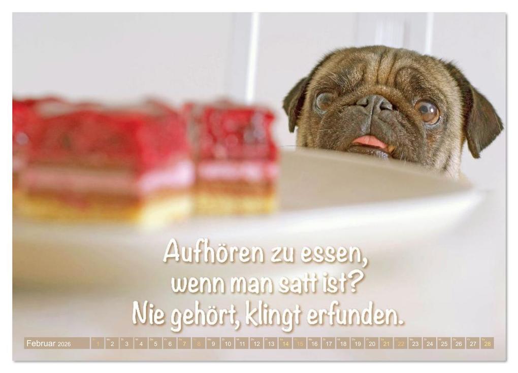 Weitere Ansicht: Lächeln mit Mops (Wandkalender 2026 DIN A4 quer), CALVENDO Monatskalender | CALVENDO CALVENDO, Calvendo