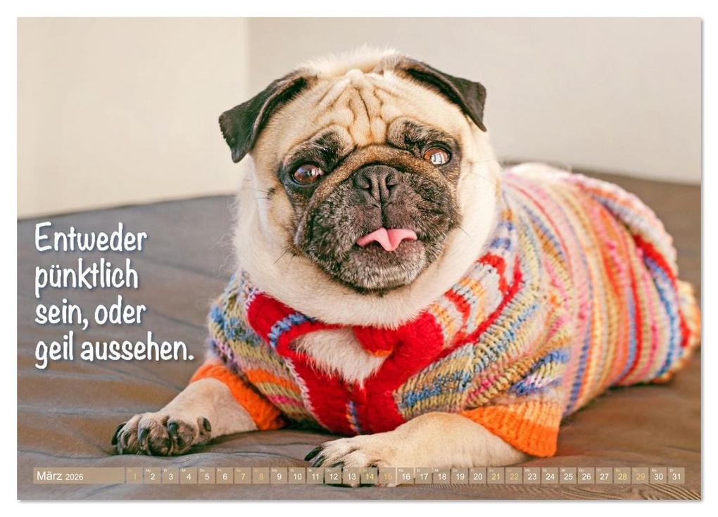 Weitere Ansicht: Lächeln mit Mops (Wandkalender 2026 DIN A4 quer), CALVENDO Monatskalender | CALVENDO CALVENDO, Calvendo
