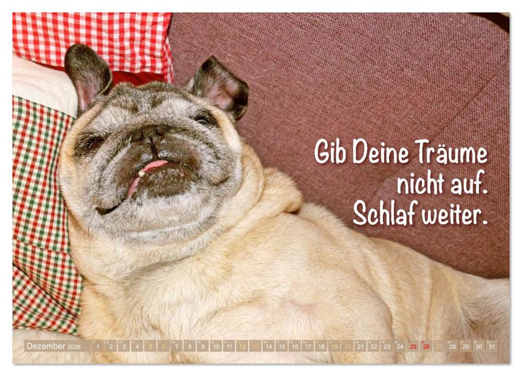 Weitere Ansicht: Lächeln mit Mops (Wandkalender 2026 DIN A4 quer), CALVENDO Monatskalender | CALVENDO CALVENDO, Calvendo