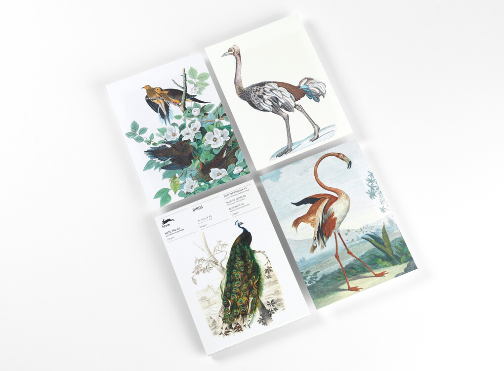 Weitere Ansicht: Birds | Pepin van Roojen