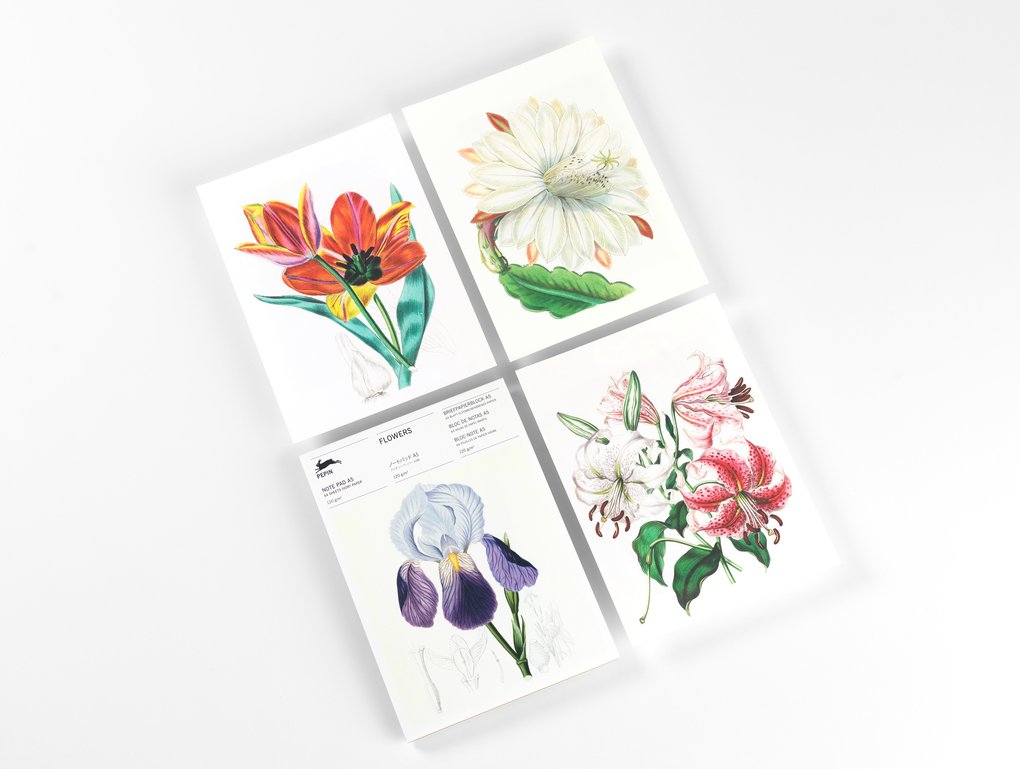 Weitere Ansicht: Flowers | Pepin van Roojen