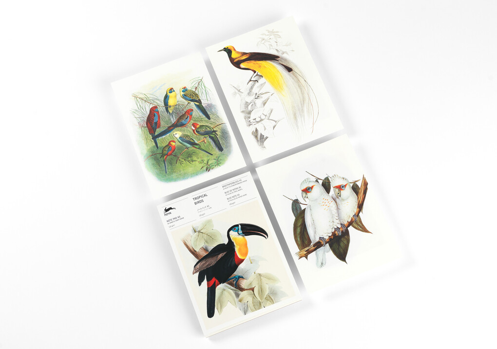 Weitere Ansicht: Tropical Birds | Pepin van Roojen