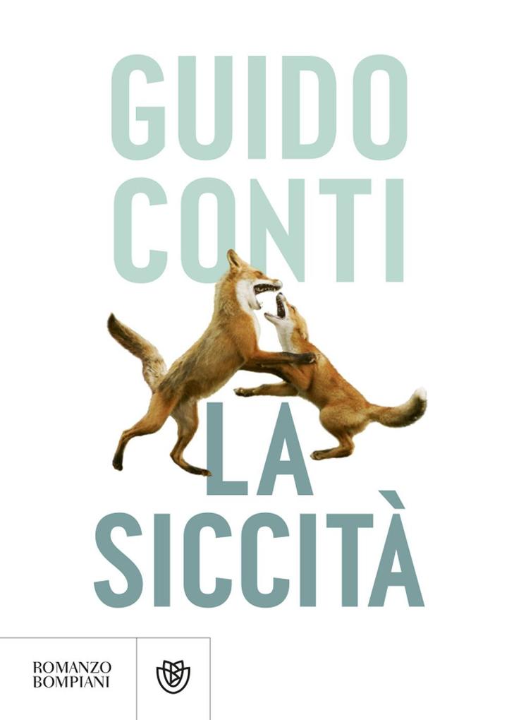 Produktbild: La siccità | Guido Conti