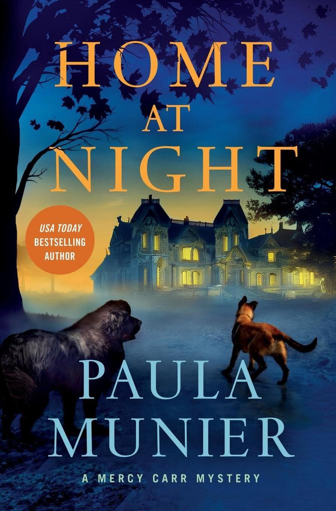 Produktbild: Home at Night | Paula Munier